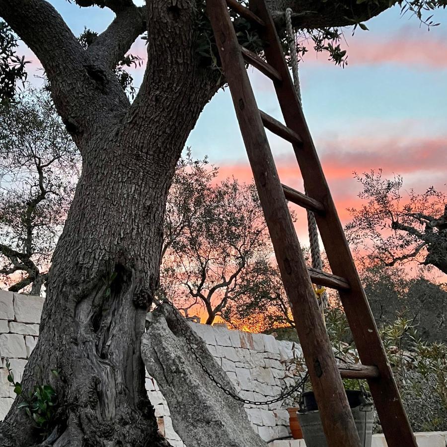 Bed and Breakfast Quei Trulli Divini Martina Franca Zewnętrze zdjęcie